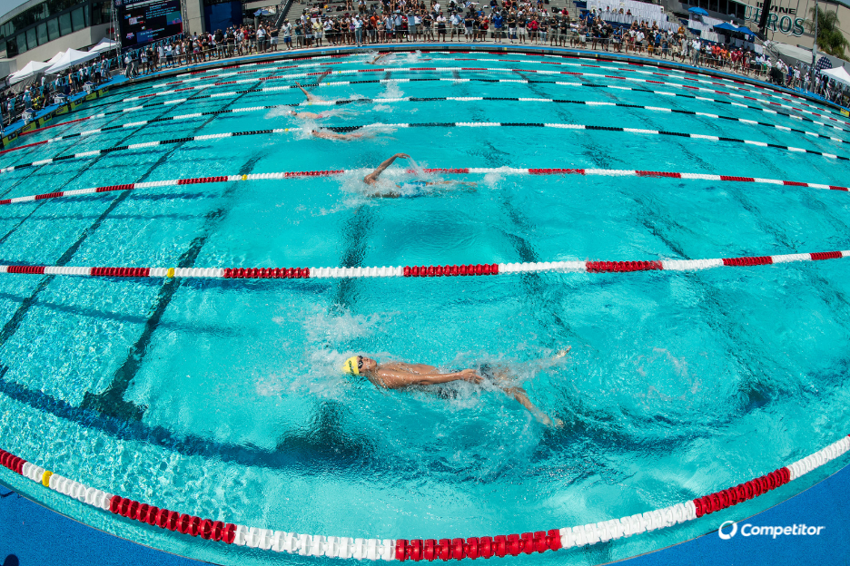 swimmers racing lane lines separating lanes in pool