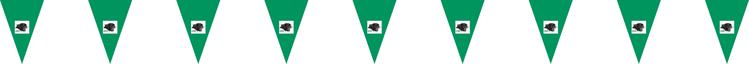 Flag Preview