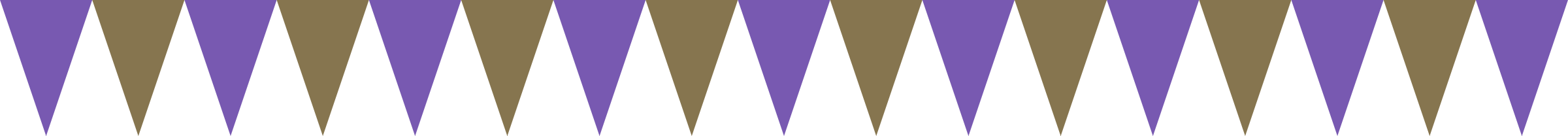 Flag Preview