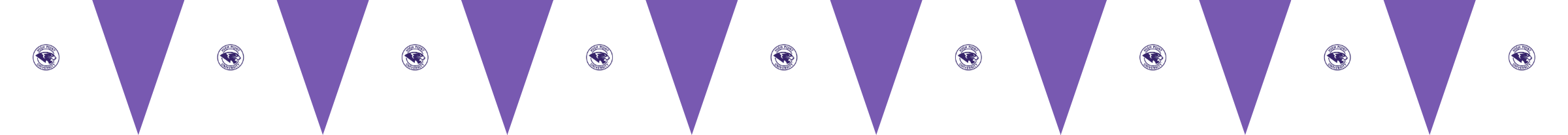 Flag Preview