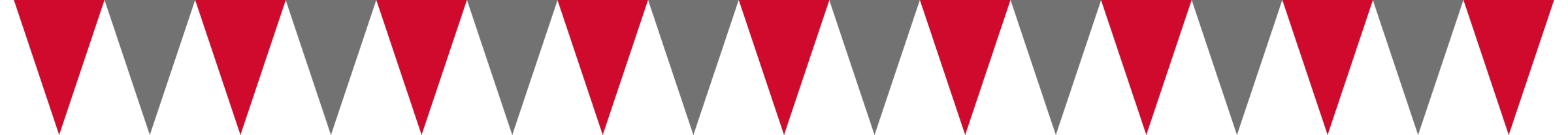 Flag Preview