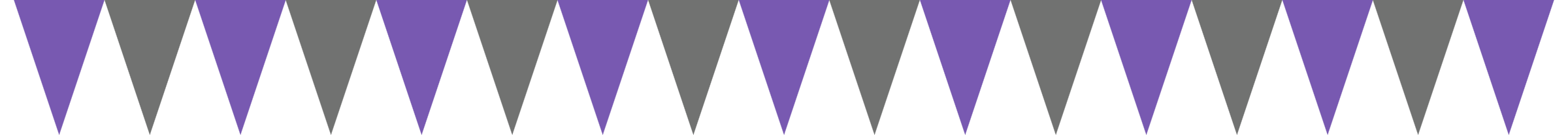 Flag Preview
