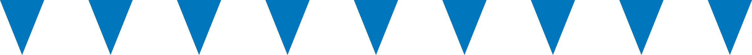 Flag Preview