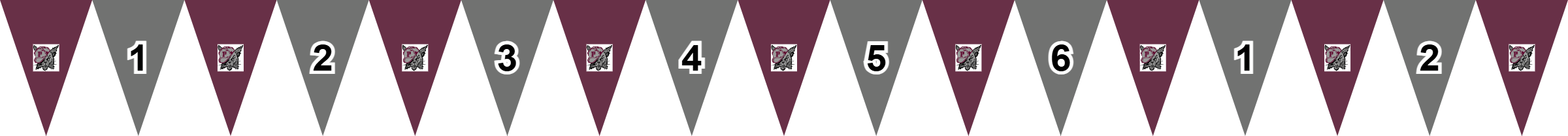 Flag Preview